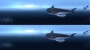 Видео для VR (подводный мир)