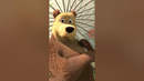 Как очаровать ее сердце? #Shorts #машаимедведь #ХитCезона #MashaandtheBear