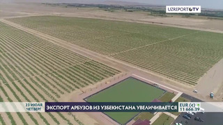 Узбекистан экспортировал 2068,3 тонны арбуза