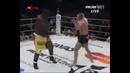 Емельяненко
