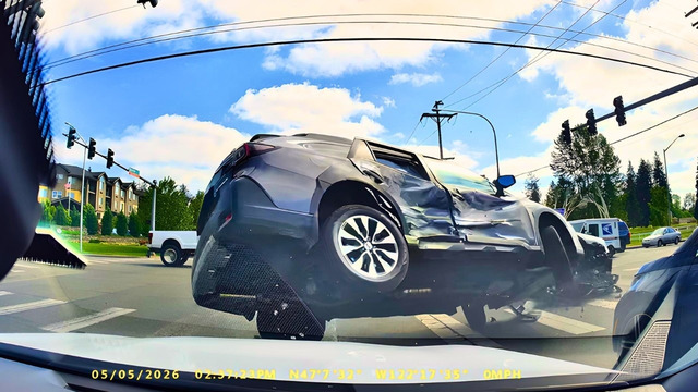 Idiots In Cars 407