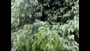 Осторожно, злая собака