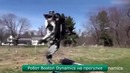 Лучшие ролики недели #157 Вы в танцах