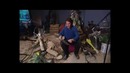 «Индустрия кино» от 31 августа 2012 года