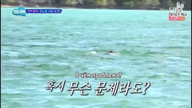 Law of the Jungle in New Caledonia – Episode 5 (224)