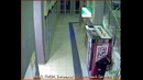 Охранник крадет деньги у животных