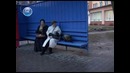 Кошачья верность
