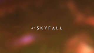 ADELE Skyfall.137