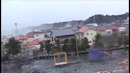 ЧТО ЭТО? Непонятное НЕЧТО выпрыгнуло из воды во время Цунами