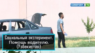 Помощь водителю (Ташкент, Узбекистан)
