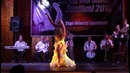 DIVA DARINA Bellydancer – Ahlan Wa Sahlan 2016 Egypt, Cairo