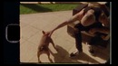 Blink-182 – Home Is Such A Lonely Place (Official Video 2k17!)
