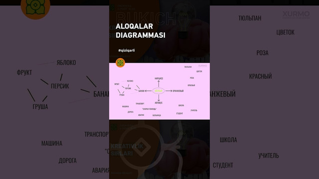 Aloqalar diagrammasi #xurmo #science #bukich