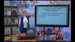 Русский язык 3 класс РУС (57)