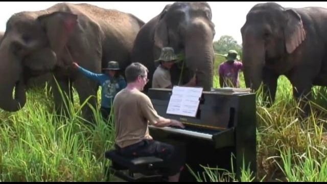 Бетховен для слонов