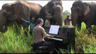 Бетховен для слонов