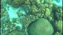 Самостоятельное путешествие в Таиланд часть первая (koh Lipe)