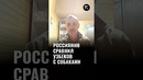 Россиянин сравнил узбеков с собаками