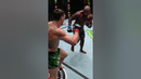 This Rountree Leg Kick KO is SAVAGE