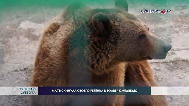 Женщина сбросила свою дочь в вольер к медведю