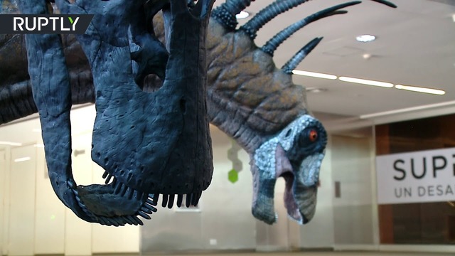 В Аргентине нашли останки прежде неизвестного вида динозавра