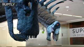 В Аргентине нашли останки прежде неизвестного вида динозавра