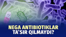 Bakteriyalar antibiotiklarga chidamli bo‘lib boryapti – bu qanchalik xavfli