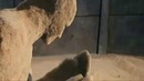 Spider-Man 3 – Birth of Sandman