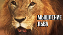 Мышление Льва – Мотивация (2025)