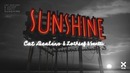 Cat Dealers, LOthief, Santti – Sunshine