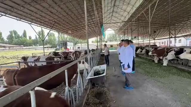 Юқумли касалликлар профилактикаси муҳокама қилинди
