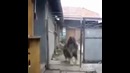 Бегите