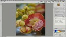 Как фотографировать на nikon (часть 15)