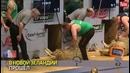 В Новой Зеландии прошел чемпионат по стрижке овец