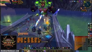 World of Warcraft: Гильдия друидов против Кросса из Цитадели Ночи