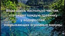 Самые чистые в мире водоемы