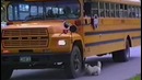 Dogs Who Don’t Want Their Kid to Go Back to School