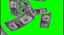 Doller Rain on green screen – free green screen HD