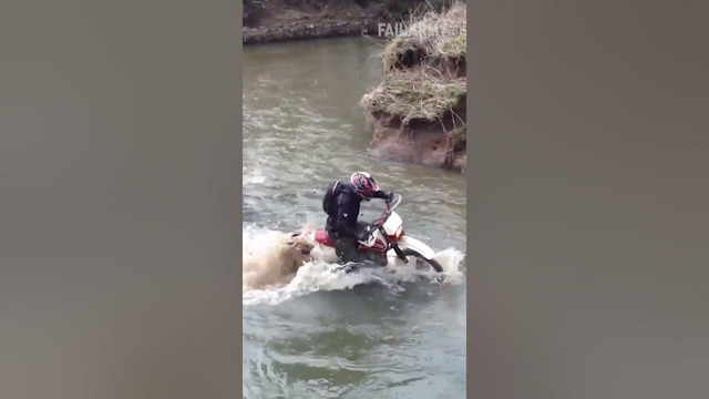 It’s a dirt bike, not a paddle boat