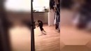 Котэ исполнил ржач