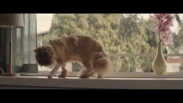 9 жизней кота в рекламе Toyota