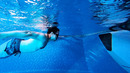 I Turned My Backyard Pool Into an Endless Swim with iGarden Swim Jet X Series