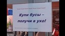 Лютые объявления. Куплю КОМАРОВ мертвых! Одна штука – рубль