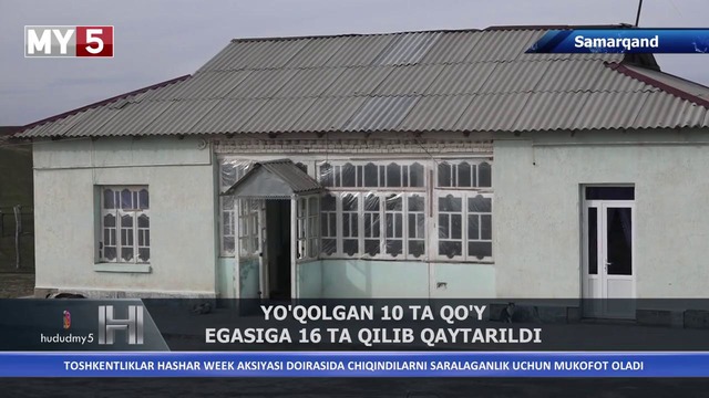 Samarqand viloyati Nurobod tumanida yo’qolgan 10 ta qo’y egasiga 16 ta qilib qaytari