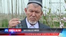 Toshkent viloyatida aniqlangan noyob topilma Muhammad Payg‘ambarga tegishlimi