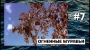 По факту — 10 крошечных фактов о НАСЕКОМЫХ