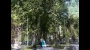 Год прошёл
