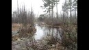 Монстр на колесах