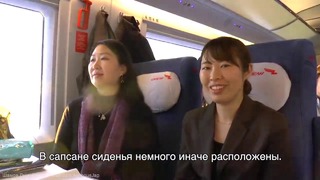 Японцы сравнили скоростной поезд в России и Японии. Синкансэн vs Сапсан – что лучше