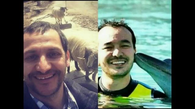 San’atkorlar hayvonlar bilan